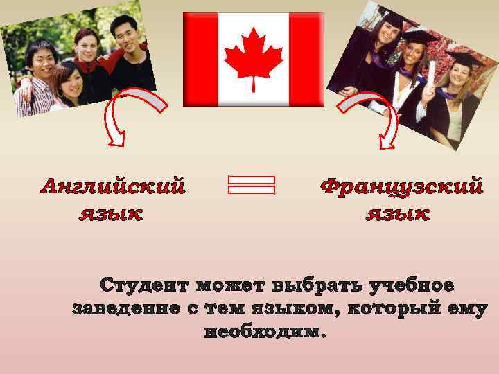Английский язык Французский язык Студент может выбрать учебное заведение с тем языком, который ему