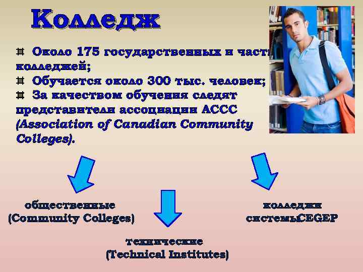 Колледж Около 175 государственных и частных колледжей; Обучается около 300 тыс. человек; За качеством
