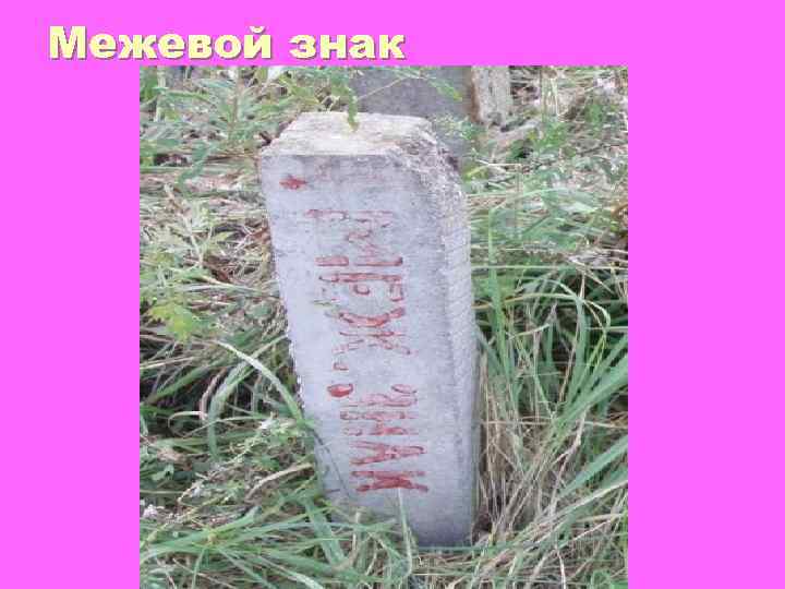 Межевой знак 
