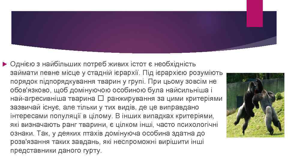  Однією з найбільших потреб живих істот є необхідність займати певне місце у стадній