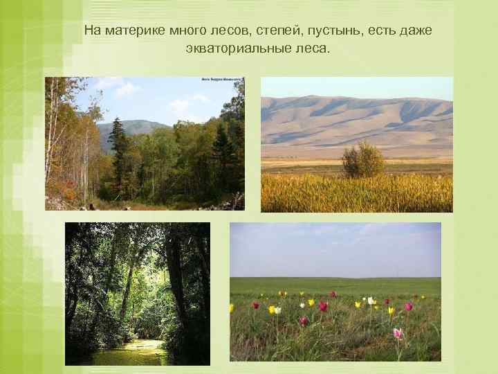 На материке много лесов, степей, пустынь, есть даже экваториальные леса. 