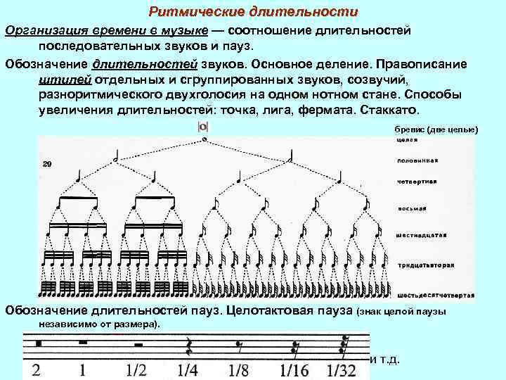 Схема деления длительностей