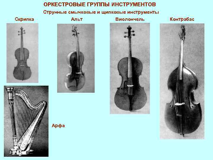 ОРКЕСТРОВЫЕ ГРУППЫ ИНСТРУМЕНТОВ Скрипка Струнные смычковые и щипковые инструменты Альт Виолончель Арфа Контрабас 