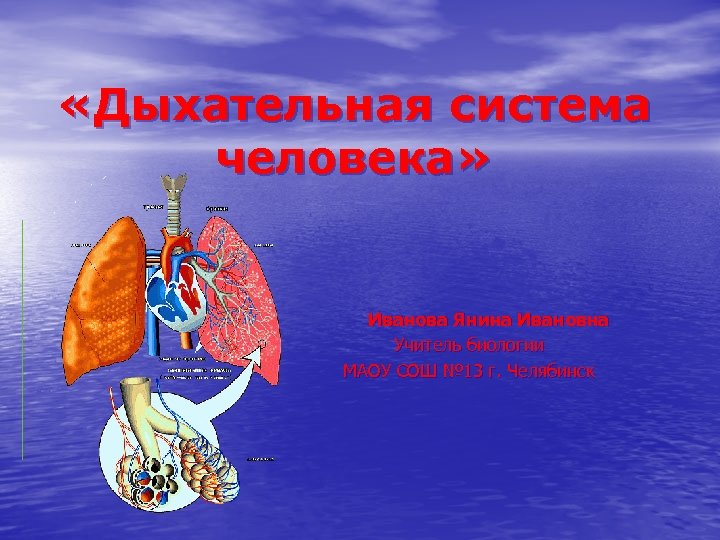  «Дыхательная система человека» Иванова Янина Ивановна Учитель биологии МАОУ СОШ № 13 г.