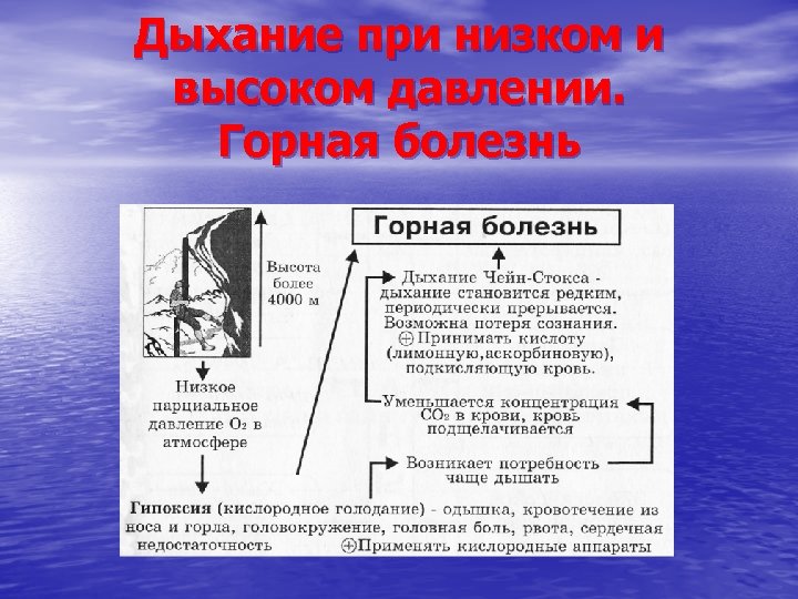 Дыхание при низком и высоком давлении. Горная болезнь 