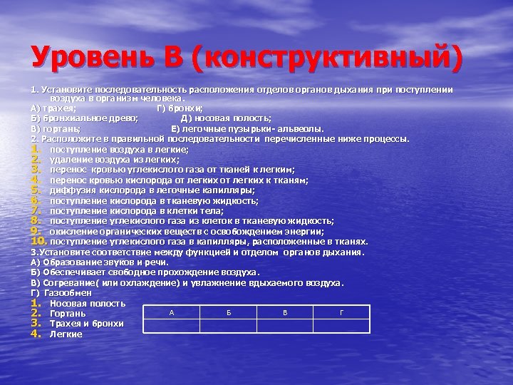 Уровень B (конструктивный) 1. Установите последовательность расположения отделов органов дыхания при поступлении воздуха в