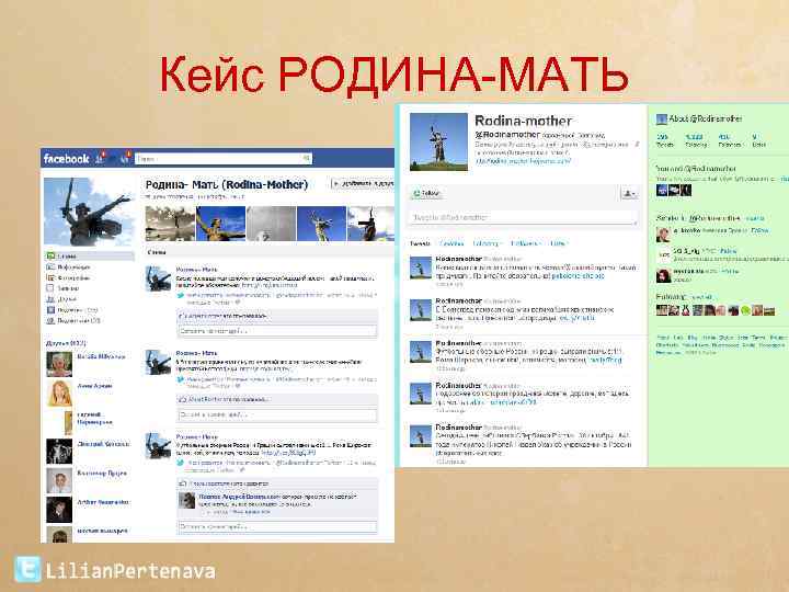 Кейс РОДИНА-МАТЬ 