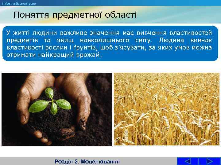 informatic. sumy. ua Поняття предметної області У житті людини важливе значення має вивчення властивостей