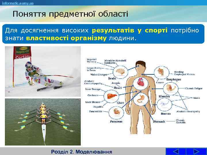 informatic. sumy. ua Поняття предметної області Для досягнення високих результатів у спорті потрібно знати