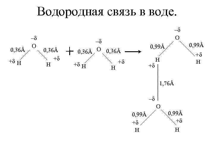 Водородная связь в воде. 0, 36Å +δ H –δ O –δ 0, 36Å O