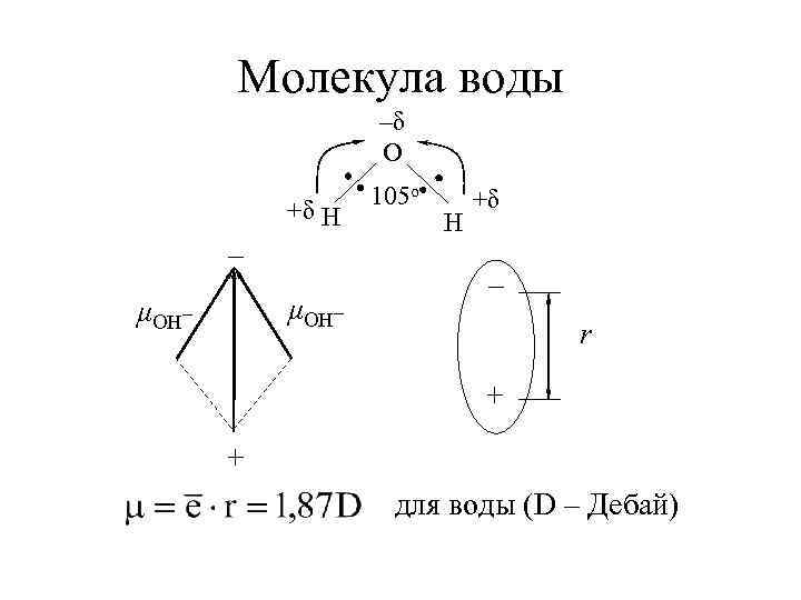Молекула воды –δ O +δ H – μOH_ _ 105 о H +δ –