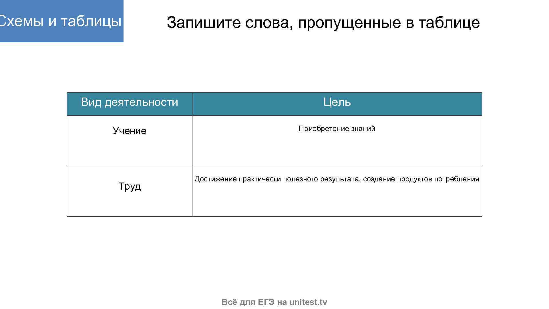 Запишите слово пропущенное в схеме виды деятельности