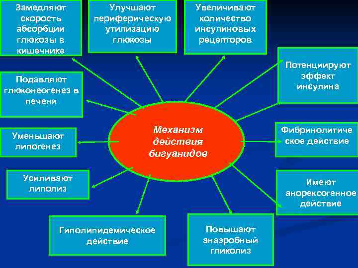 Замедляют скорость абсорбции глюкозы в кишечнике Улучшают периферическую утилизацию глюкозы Увеличивают количество инсулиновых рецепторов