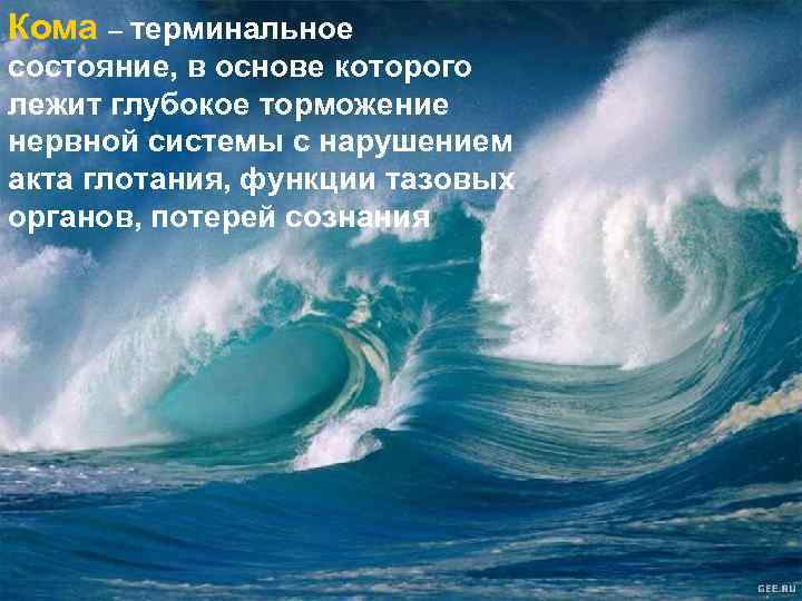 Кома – терминальное состояние, в основе которого лежит глубокое торможение нервной системы с нарушением