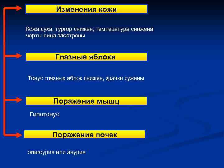 Изменения кожи Кожа суха, тургор снижен, температура снижена черты лица заострены Глазные яблоки Тонус