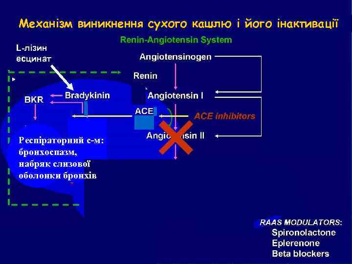 Механізм виникнення сухого кашлю і його інактивації L-лізин есцинат Респіраторний с-м: бронхоспазм, набряк слизової