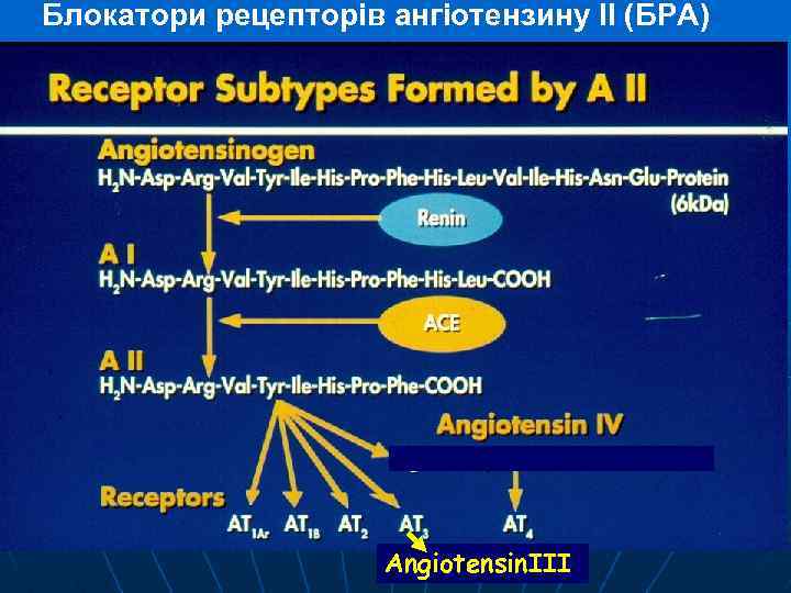 Блокатори рецепторів ангіотензину ІІ (БРА) AngiotensinІІІ 