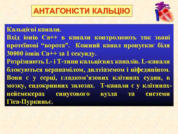 АНТАГОНІСТИ КАЛЬЦІЮ Кальцієві канали. Вхід іонів Са++ в канали контролюють так звані протеїнові “ворота”.