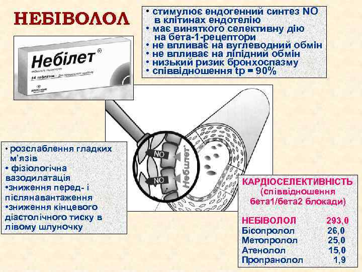 НЕБІВОЛОЛ • cтимулює ендогенний синтез NO в клітинах ендотелію • має виняткого селективну дію