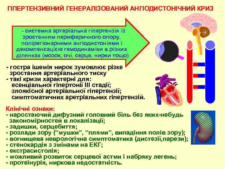 ГІПЕРТЕНЗИВНИЙ ГЕНЕРАЛІЗОВАНИЙ АНГІОДИСТОНІЧНИЙ КРИЗ - системна артерiальна гiпертензiя із зростанням периферичного опору, полiрегiонарними ангiодистонiями