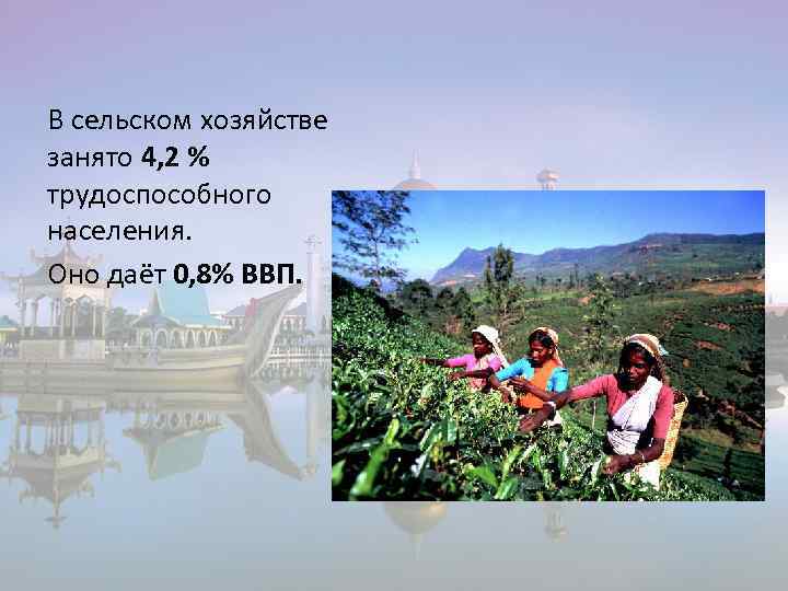 В сельском хозяйстве занято 4, 2 % трудоспособного населения. Оно даёт 0, 8% ВВП.
