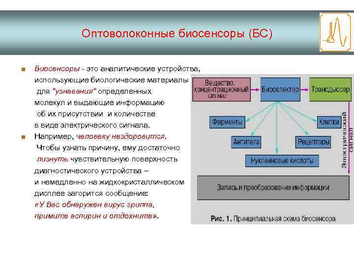 Оптоволоконные биосенсоры (БС) ■ ■ Биосенсоры - это аналитические устройства, использующие биологические материалы для