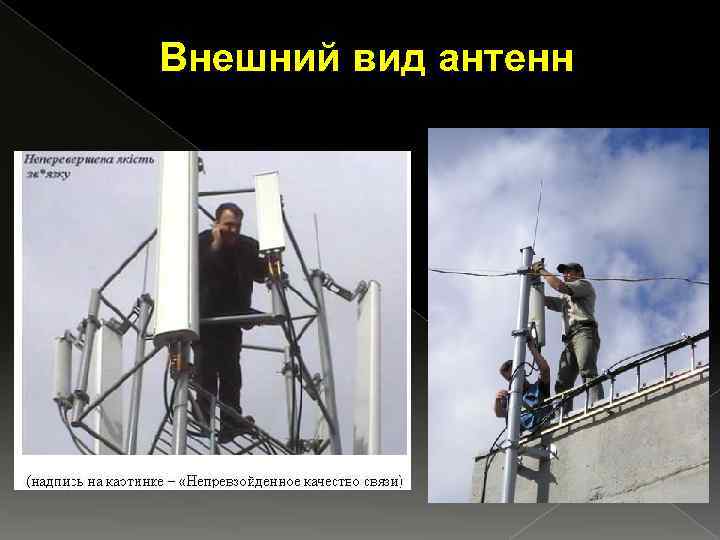 Внешний вид антенн 