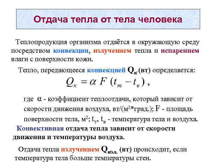 Отдача тепла от тела человека Теплопродукция организма отдаётся в окружающую среду посредством конвекции, излучением