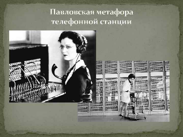 Павловская метафора телефонной станции 