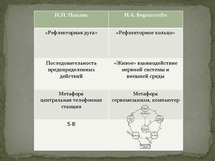 И. П. Павлов Н. А. Бернштейн «Рефлекторная дуга» «Рефлекторное кольцо» Последовательность предопределенных действий «Живое»