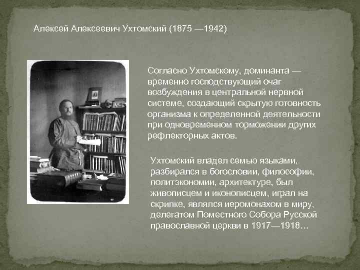 Алексей Алексеевич У хтомский (1875 — 1942) Согласно Ухтомскому, доминанта — временно господствующий очаг