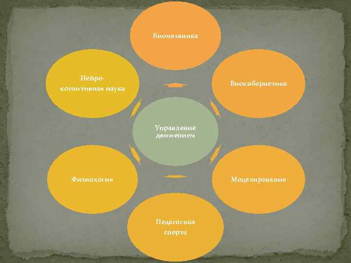 Биомеханика Нейрокогнитивная наука Биокибернетика Управление движением Физиология Моделирование Педагогика спорта 