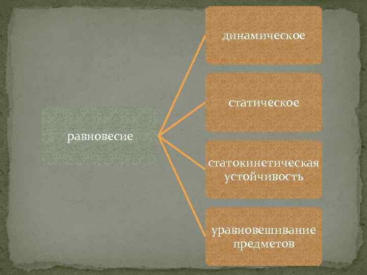 динамическое статическое равновесие статокинетическая устойчивость уравновешивание предметов 