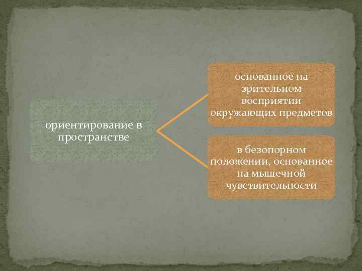 ориентирование в пространстве основанное на зрительном восприятии окружающих предметов в безопорном положении, основанное на