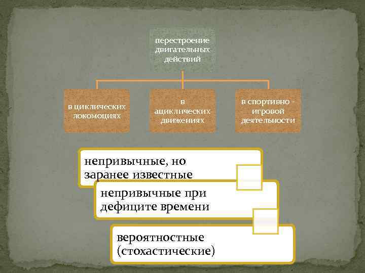 перестроение двигательных действий в циклических локомоциях в ациклических движениях непривычные, но заранее известные непривычные