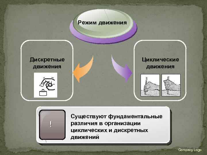 Режим движения Дискретные движения ! Циклические движения Существуют фундаментальные различия в организации циклических и