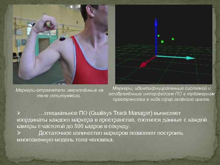 Маркеры-отражатели закреплённые на теле испытуемого. Маркеры, идентифицированные системой и отображённые интерфейсом ПО в трёхмерном