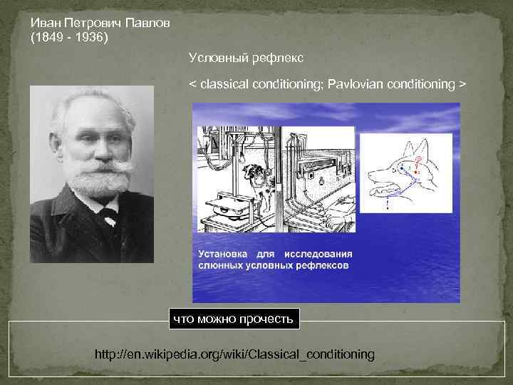 Иван Петрович Павлов (1849 - 1936) Условный рефлекс < classical conditioning; Pavlovian conditioning >