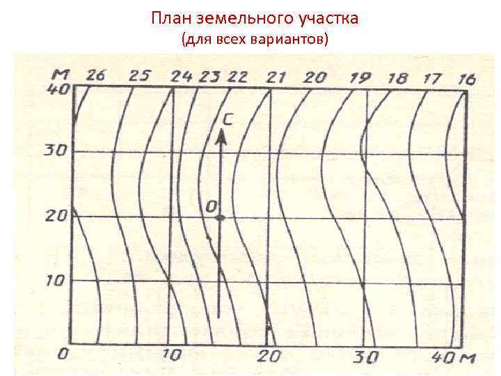 План земельного участка (для всех вариантов) 