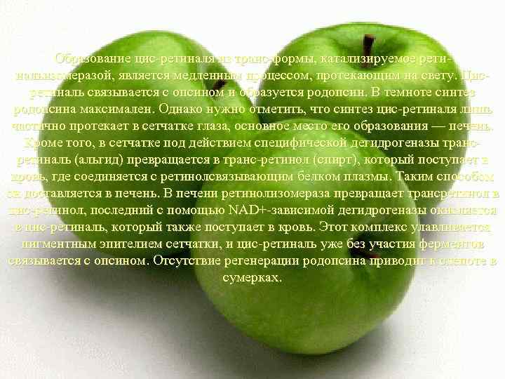 Образование цис-ретиналя из транс-формы, катализируемое ретинальизомеразой, является медленным процессом, протекающим на свету. Цисретиналь связывается