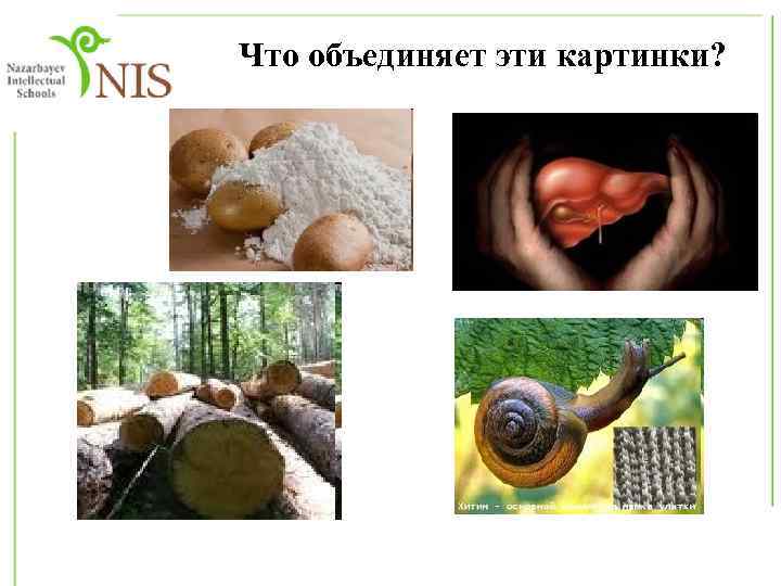 Что объединяет эти картинки? 