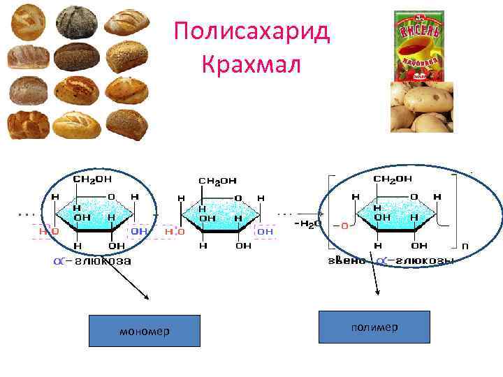 Углеводы рисунок химия