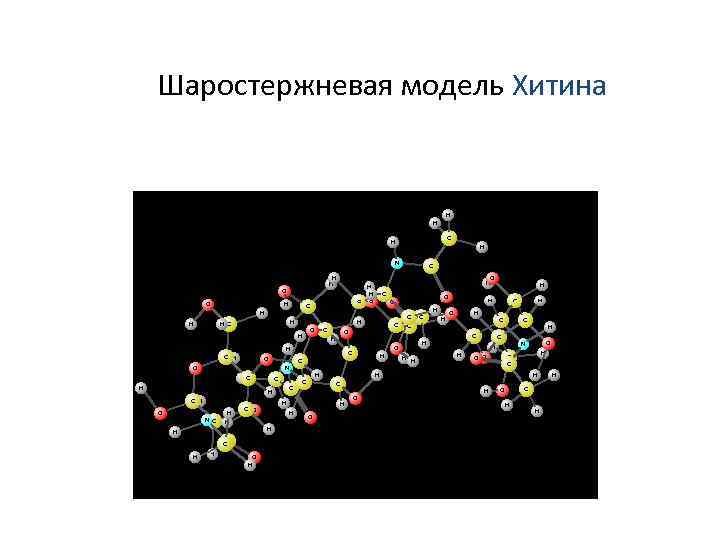 Шаростержневая модель Хитина 