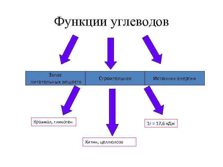 Функции углеводов Запас питательных веществ Строительная Крахмал, гликоген Источник энергии 1 г = 17,