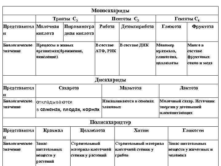 Моносахариды Триозы С 3 Представител Молочная и кислота Пентозы С 5 Пировиногра дная кислота