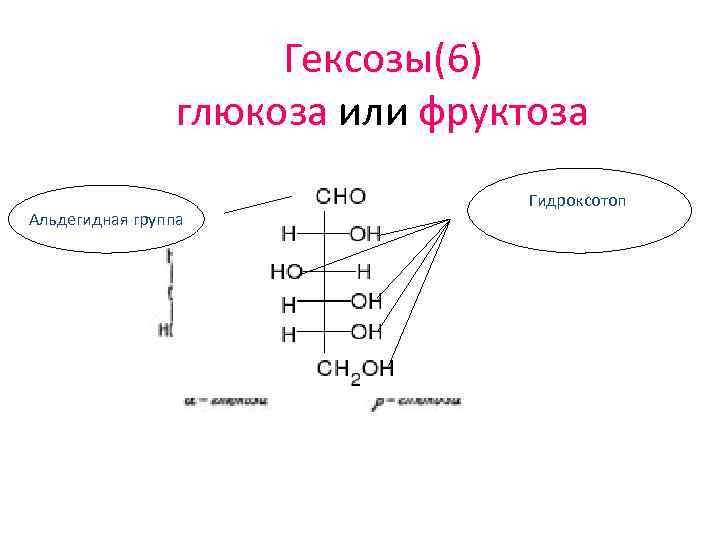 Гексозы(6) глюкоза или фруктоза Альдегидная группа Гидроксотоп 