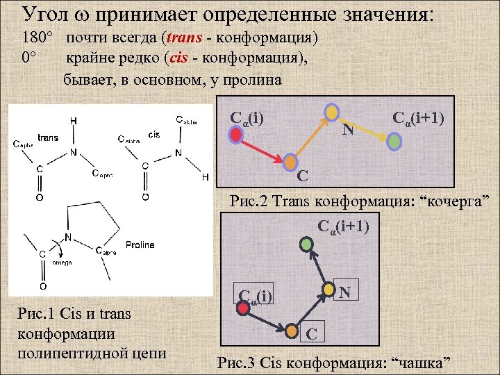 Угол принимает определенные значения: 180° почти всегда (trans - конформация) 0° крайне редко (cis