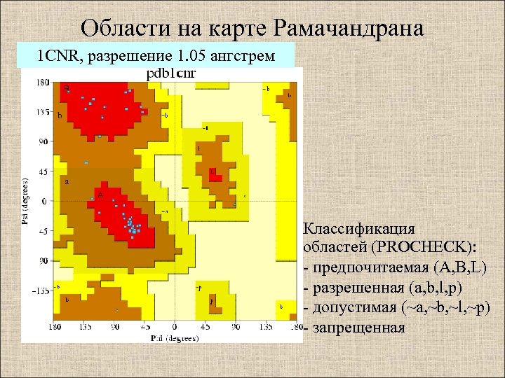 Области на карте Рамачандрана 1 CNR, разрешение 1. 05 ангстрем Классификация областей (PROCHECK): -