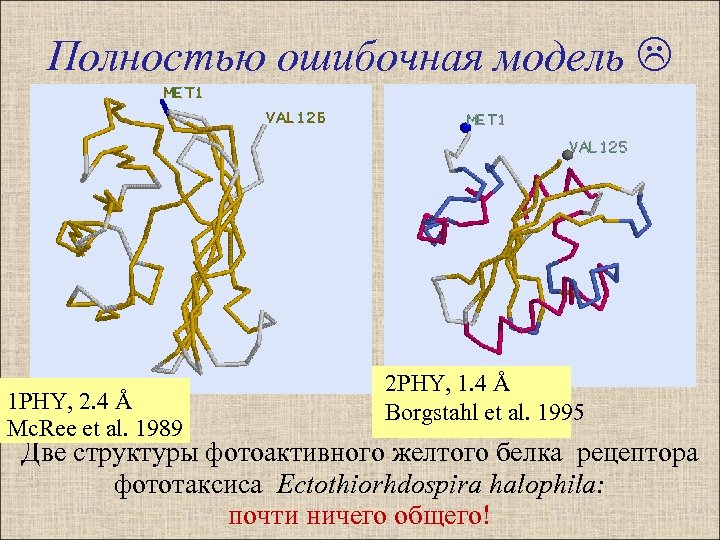 Полностью ошибочная модель 1 PHY, 2. 4 Å Mc. Ree et al. 1989 2