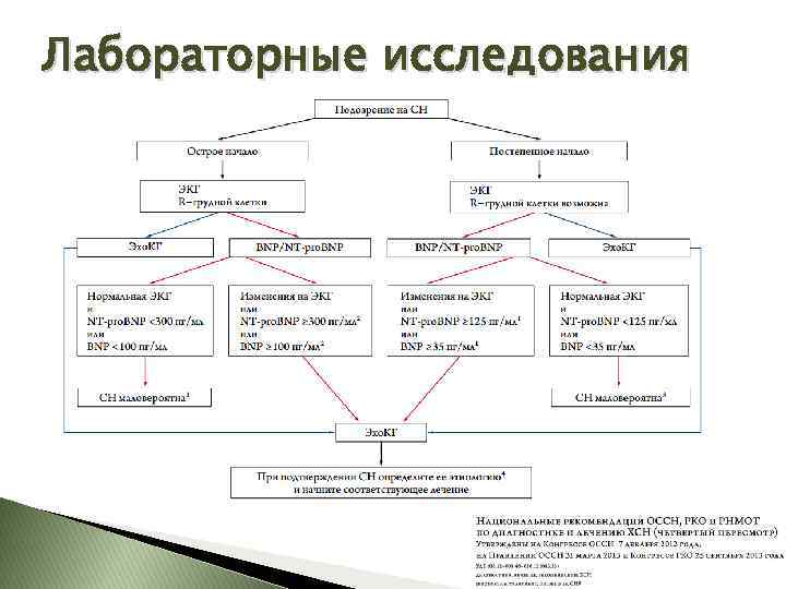 Лабораторные исследования 
